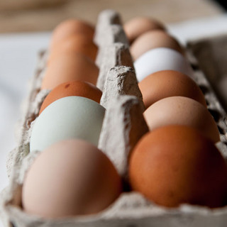 Eggs. Certified Organic