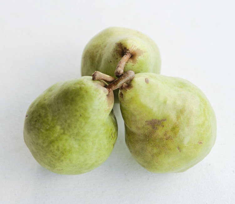 Pears, Bartlett