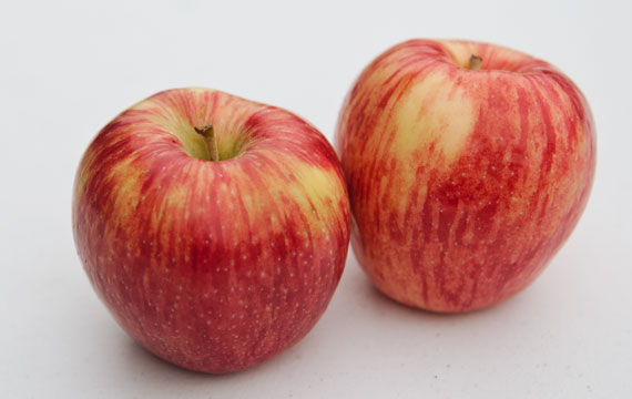 Apples, Jonagold case 88ct