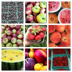 2023 - Fruit Share