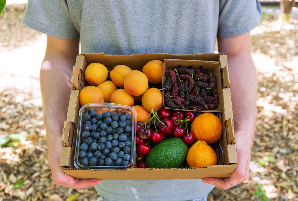 Mixed Fruit Box