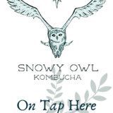 Snowy Owl Kombucha