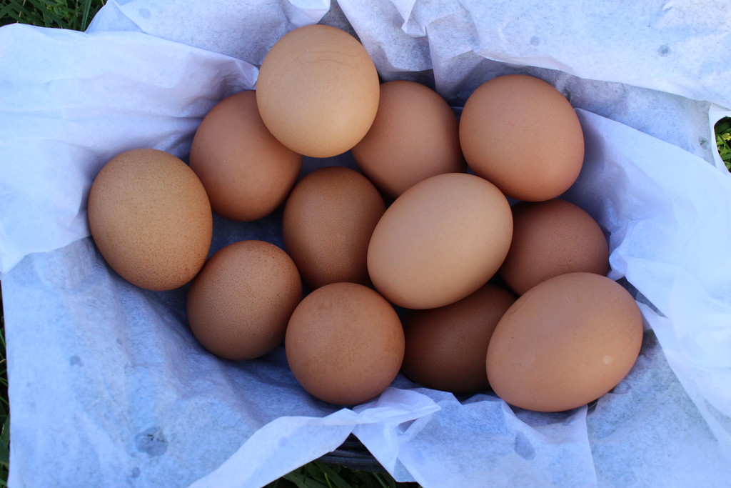 Milton & Goose Half Dozen Eggs Natural