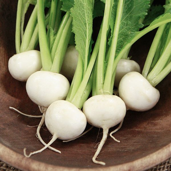 Vegetable, Turnip