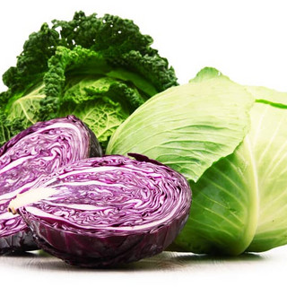 Vegetable, Cabbage