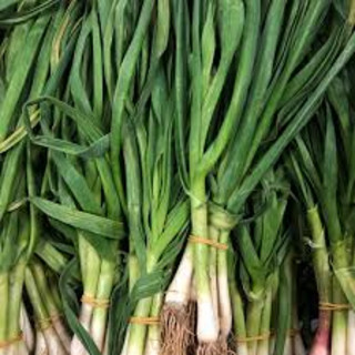 Herb, Green Garlic