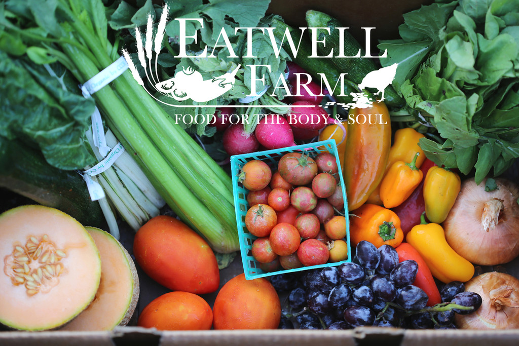 Eatwell Post Cards