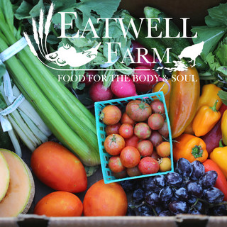 Eatwell Post Cards