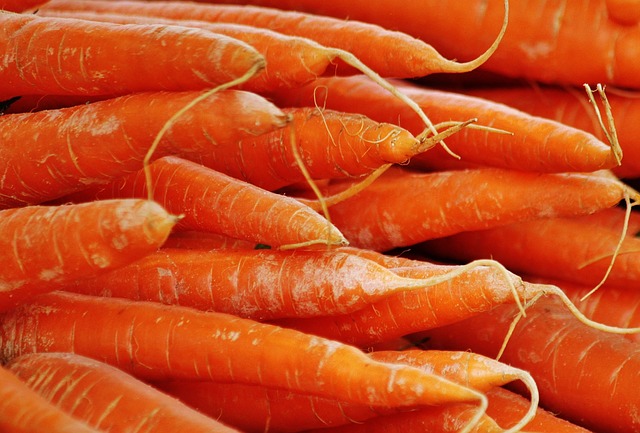Carrots from Terra Firma Farm