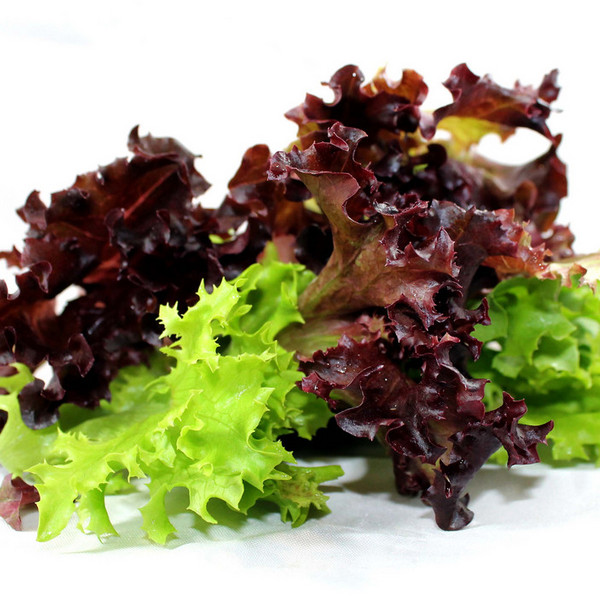 Certified Organic Salad Greens