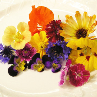 Certified Organic Edible Flowers