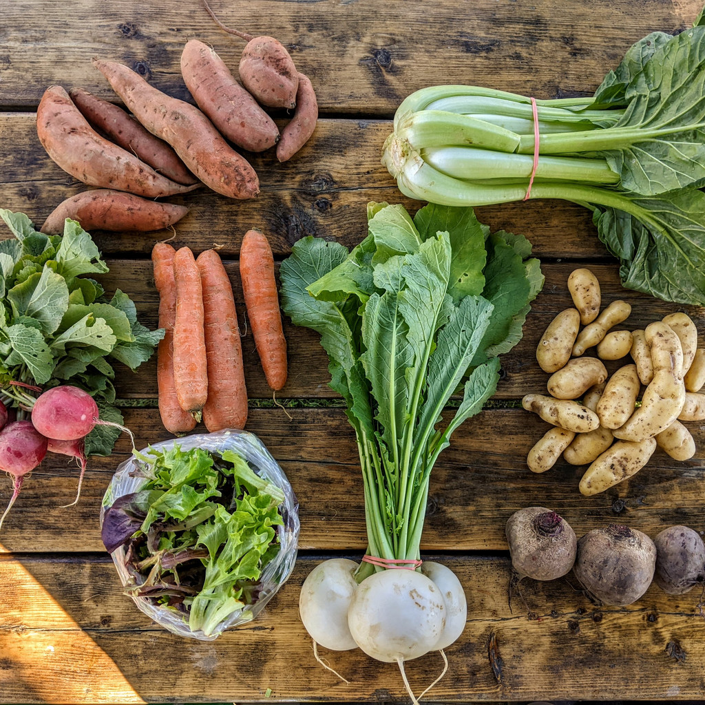 kitchen gardening vegetables        
        <figure class=